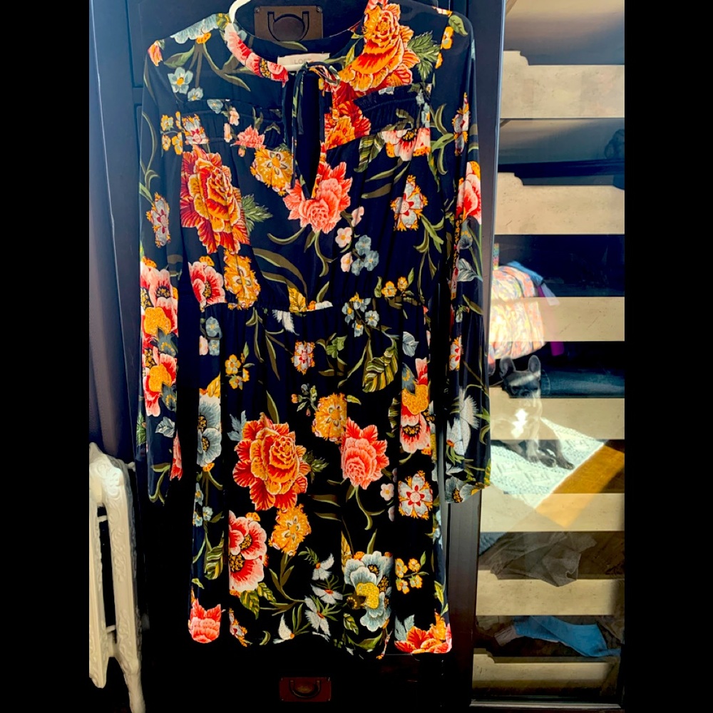 Loft long sleeve dress